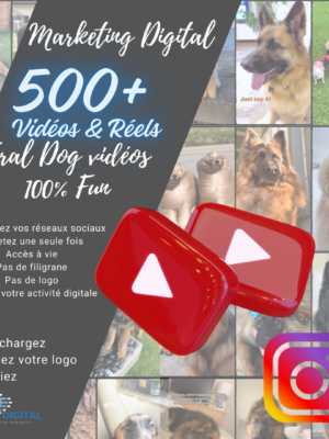 vidéos virales dogs